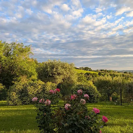 Giardino Antico