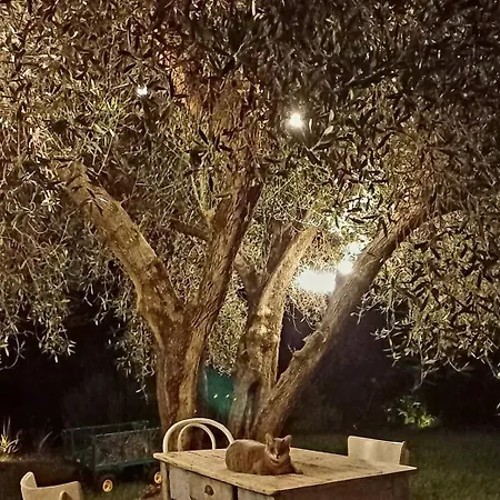 Εξοχικό σπίτι Giardino Antico Montecarotto