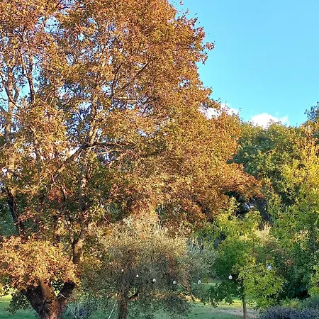 Giardino Antico Εξοχικό σπίτι *