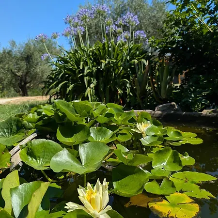 Giardino Antico *