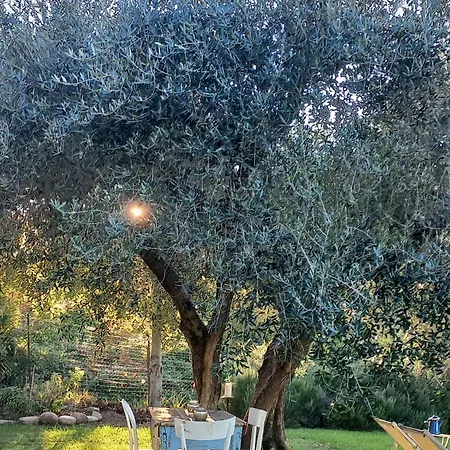 Giardino Antico