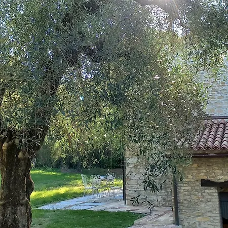 Giardino Antico Montecarotto